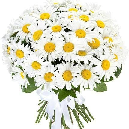 51 Sunny Daisy